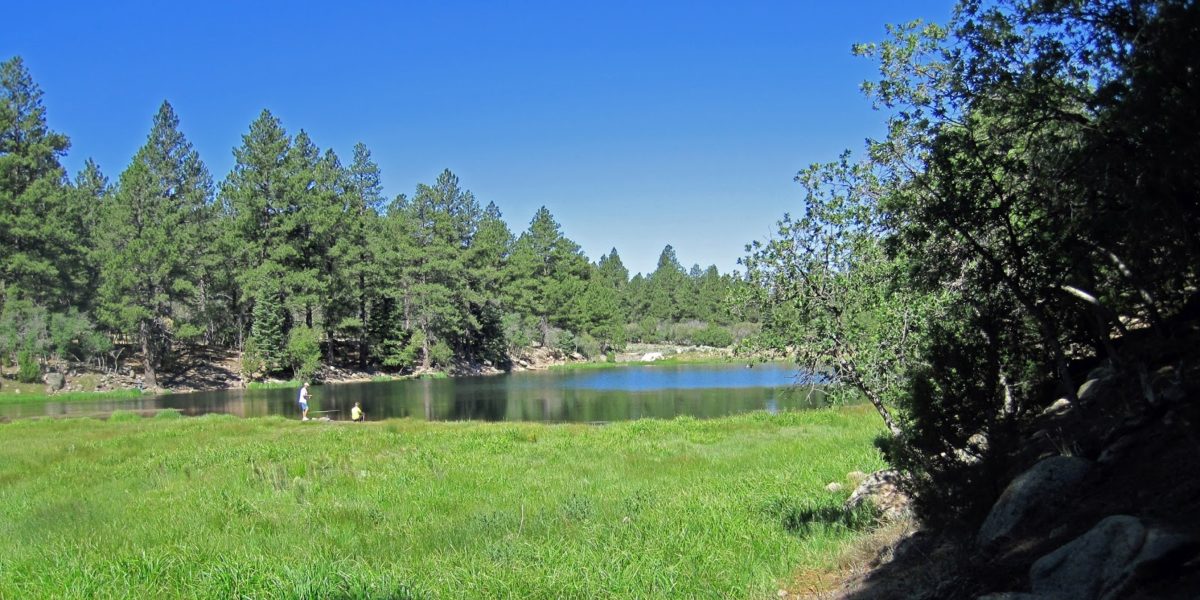 Pine Valley Reservoir, Southern Utah FisherDad