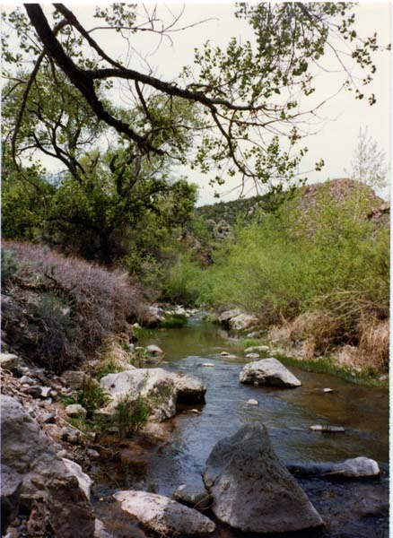 Beaver Dam Creek, the Early Years – FisherDad