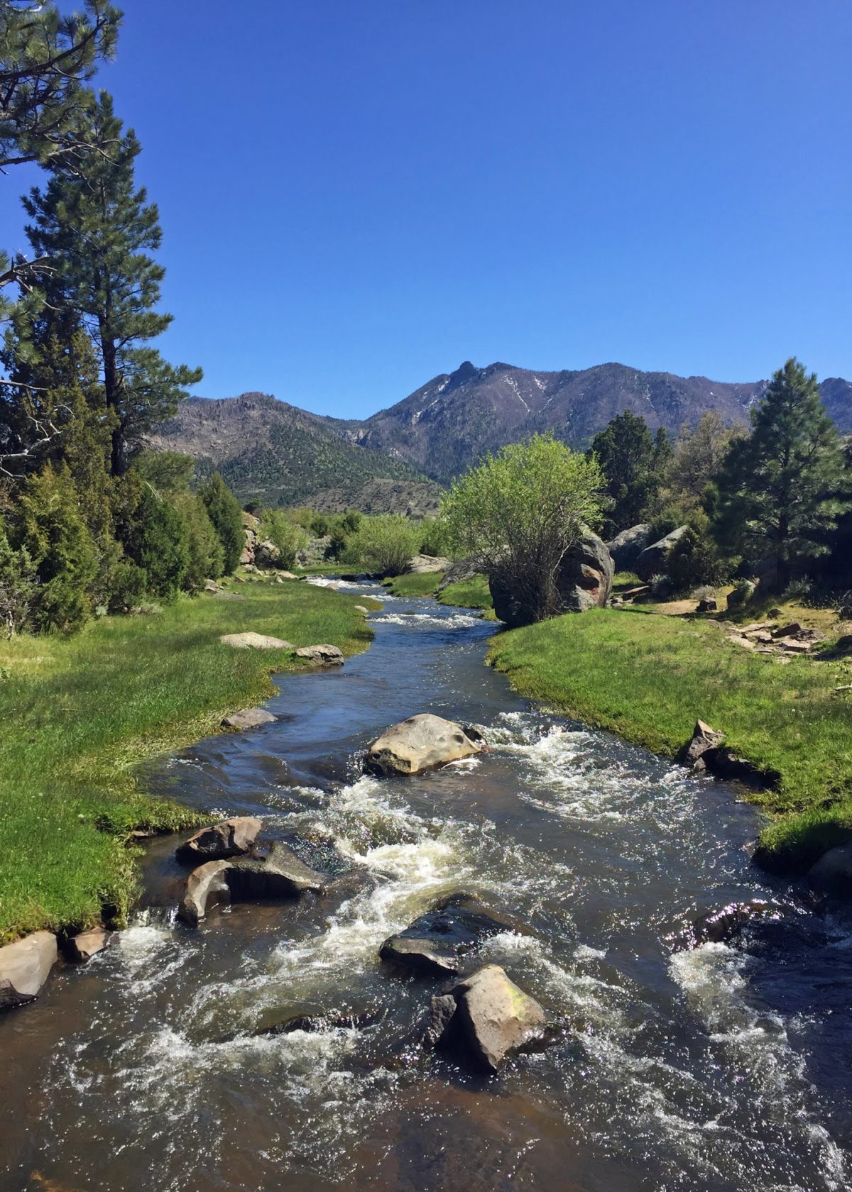 Southern Utah’s Pine Valley Recreation Area FisherDad