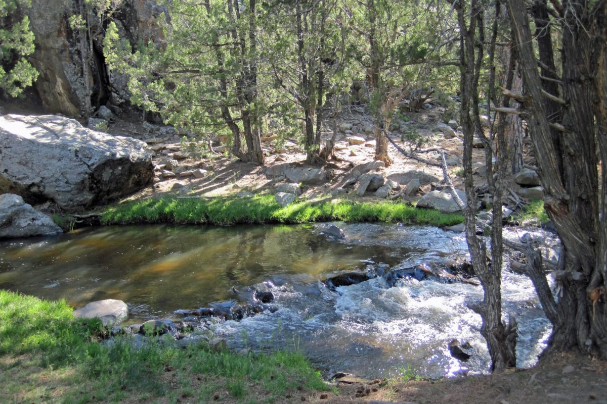 Southern Utah’s Pine Valley Recreation Area FisherDad